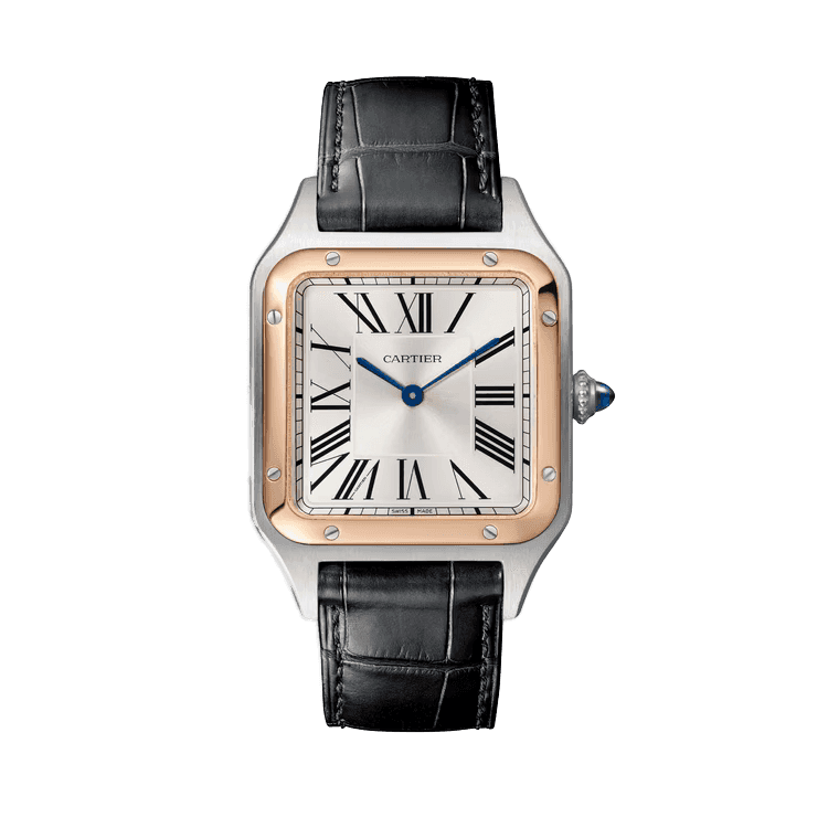Cartier Santos Dumont Silver Leather 31.4mm