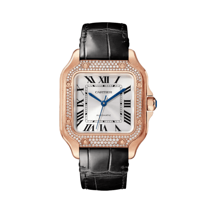 Cartier Santos De Cartier Silver Leather 8.83mm