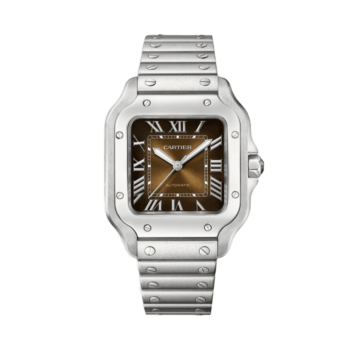 Cartier Santos De Cartier Chocolate Steel 35.1mm