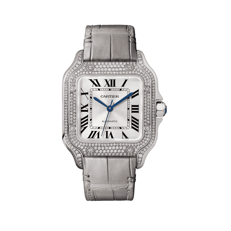 Cartier Santos De Cartier Silver Leather 35.1mm