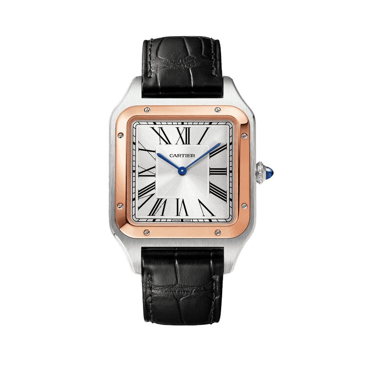 Cartier Santos Dumont Silver Leather 33.9mm