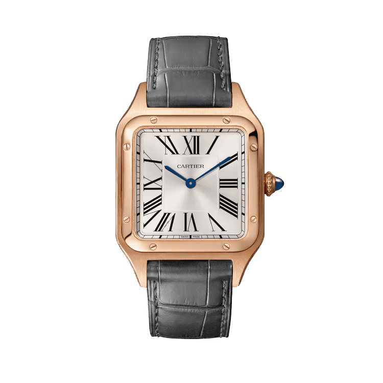 Cartier Santos Dumont Silver Leather 31.4mm